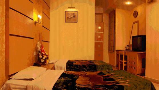 Fabhotel Ashu Palace Karol Bagh Delhi  Room photo